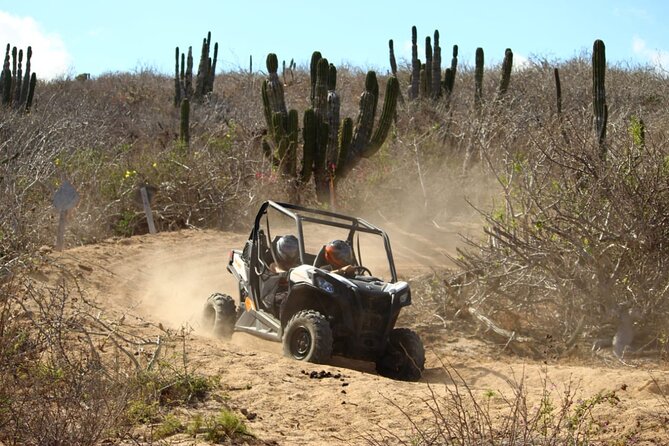 Viper Trail UTV Small-Group Experience in Cabo San Lucas - Is the tour worth the cost?