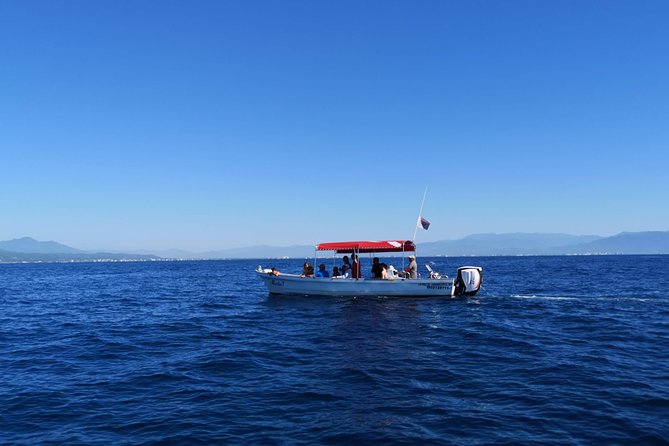 Whale Encounter Puerto Vallarta - Getting Wet Is Part of the Deal