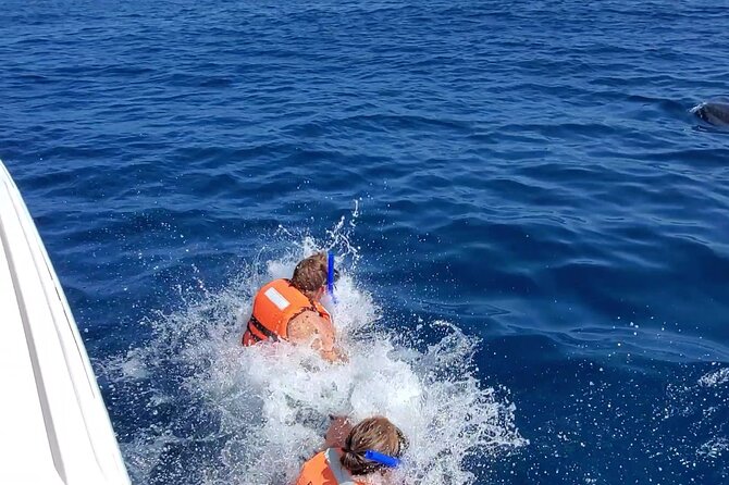 Whale Shark Adventure in Isla Mujeres and Cancun - Who should book this experience?