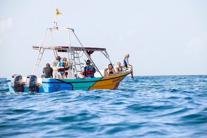 Whale Shark and Snorkeling Adventure from Isla Holbox - Who will enjoy this trip most?