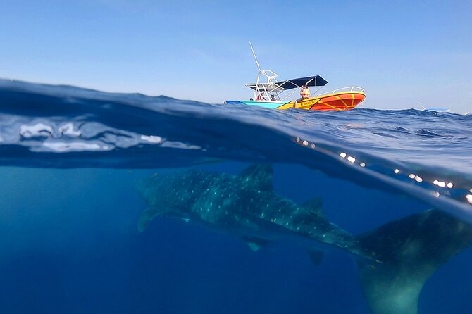 Whale Shark and Snorkeling Adventure from Isla Holbox - The boat ride into Yum Balam Reserve
