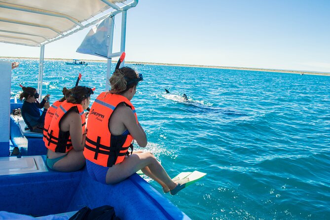 Whale Shark snorkeling tour in a reduced group with local marine biologist - Snacks, weather, and what to pack