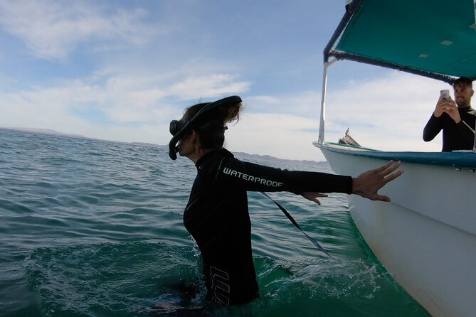 Whale Shark Swimming Adventure: Small Group with Marine Biologist - Who should book this experience?