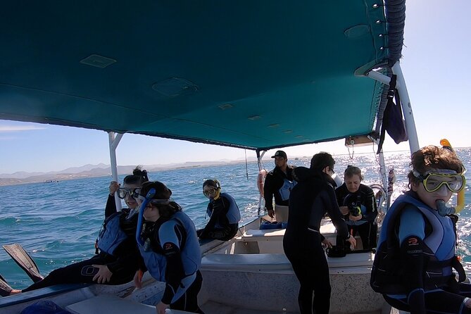 Whale Shark Swimming Adventure: Small Group with Marine Biologist - Meeting at Mutualismo 342 at 11:00 am