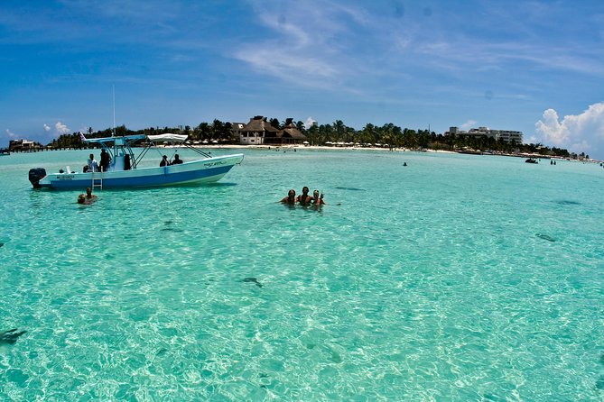 Whale Shark Tour from Cancun, Playa del Carmen, Tulum and Riviera Maya - Your whale shark swim, one pair at a time