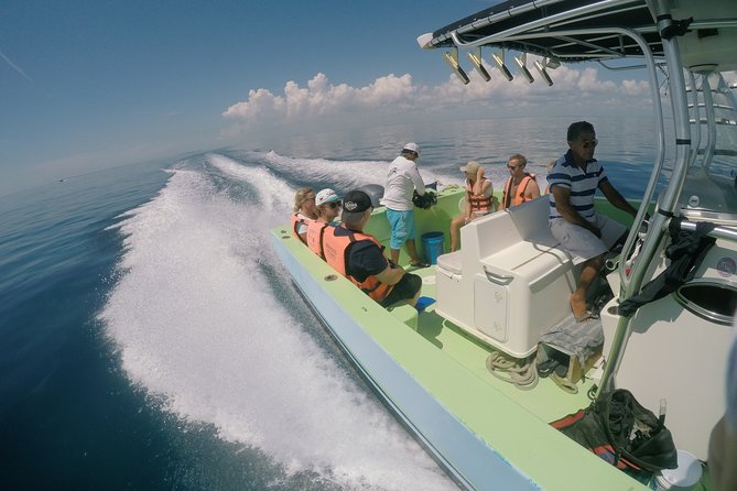 Whale Shark Tour from Cancun, Playa del Carmen, Tulum and Riviera Maya - Who will enjoy this tour most