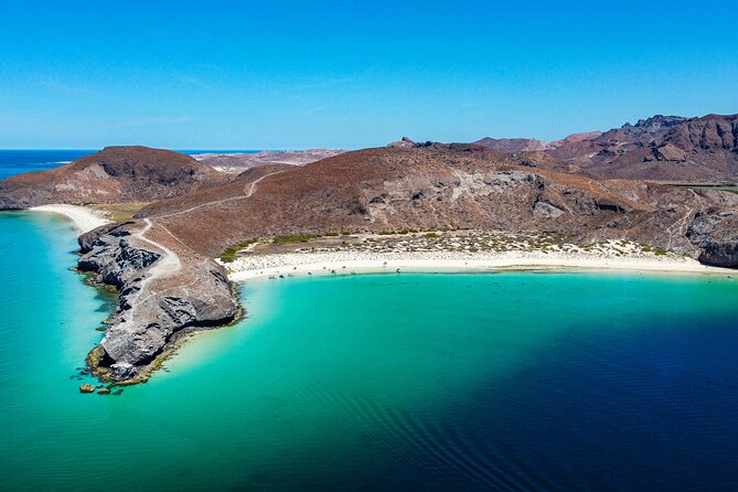 Whale sharks and sea lions snorkeling plus Balandra beach lunch - Swimming With Whale Sharks in La Paz Bay