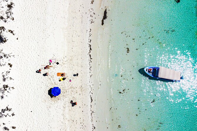Whale sharks and sea lions snorkeling plus Balandra beach lunch - Why the Nine-Person Limit Matters
