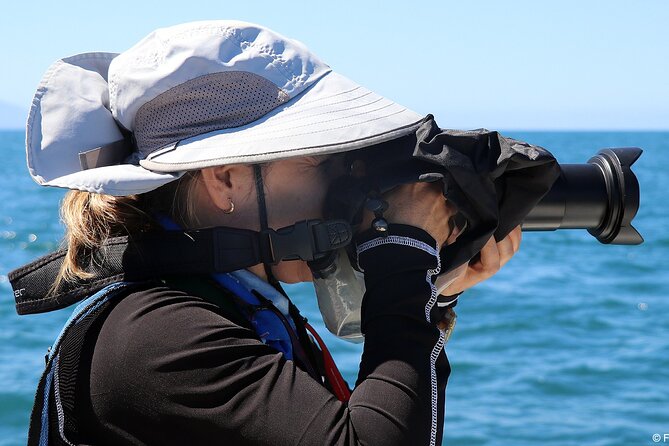 Whale Watching Adventure – Led by a Marine Biologist - Food, drinks, insurance, and the extra fee
