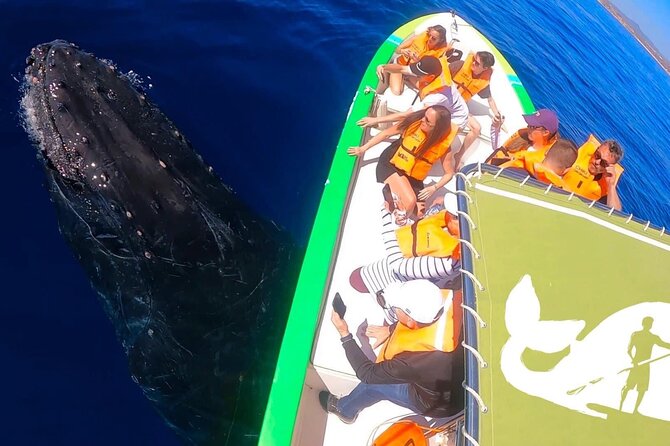 Whale Watching Cabo-Women crew-Sightings Guaranteed & Free Photos - A crew that puts animal care first