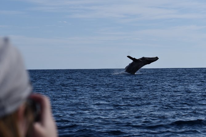 Whale Watching Cabo-Women crew-Sightings Guaranteed & Free Photos - Who will enjoy this whale watch most