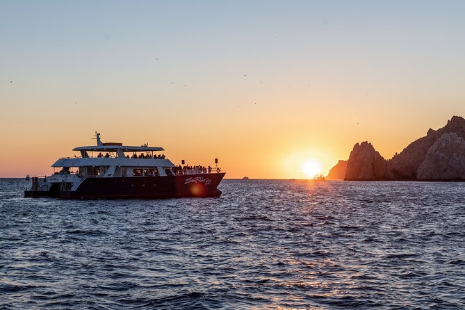 Whale Watching Dinner Cruise in Cabo San Lucas - Who Will Enjoy This Cruise Most
