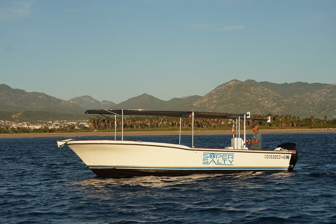 Whale Watching Group Tour in San Jose del Cabo - What the two-hour boat trip is like