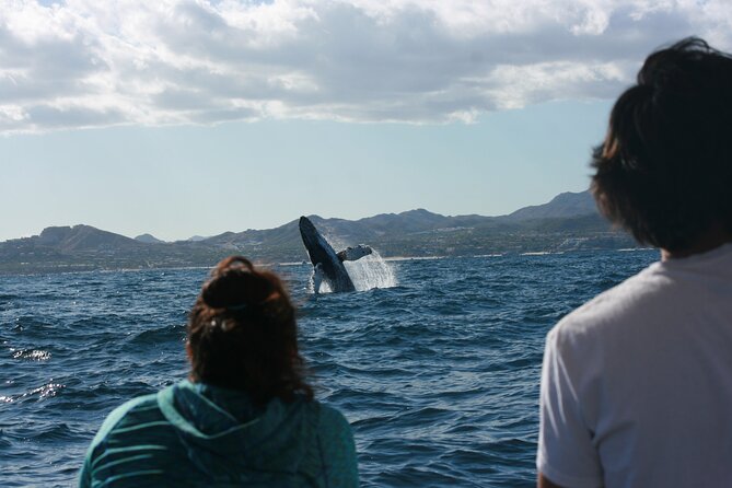 Whale Watching Group Tour in San Jose del Cabo - The hydrophone makes the trip more than a sighting tour