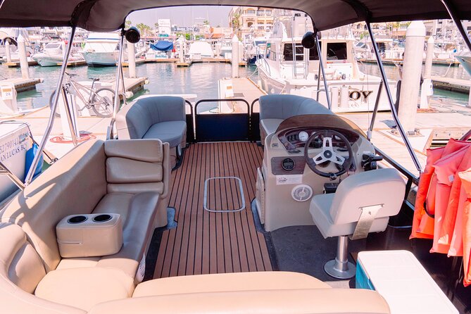 Whale Watching in Cabo San Lucas on board our Luxury Trimaran! - Is $115 a fair price?