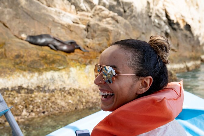 Whale Watching in Cabo San Lucas: Sightseeing Cruise and Shopping - Choosing the December to April season
