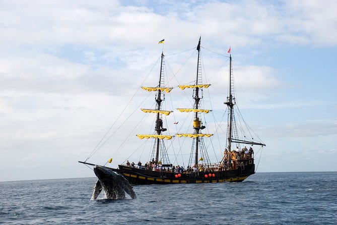 Whale-Watching Pirate Ship Cruise in Los Cabos - Open Bar, Music, Dancing, and Pirate Theater