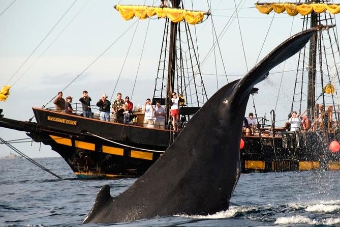 Whale-Watching Pirate Ship Cruise in Los Cabos - Breakfast Before the Ocean Gets Busy