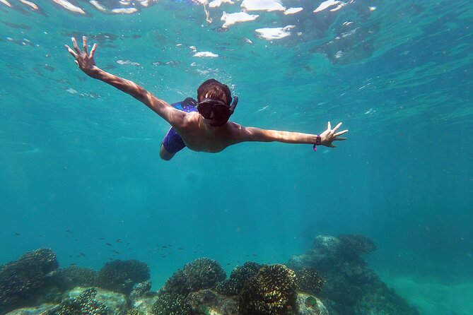 Whale Watching & Snorkeling Combo in Los Cabos with Photos Included - Key points to know before you book