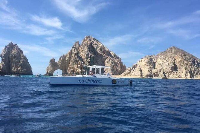 Whale Watching Tour in Los Cabos - What the catamaran ride is like