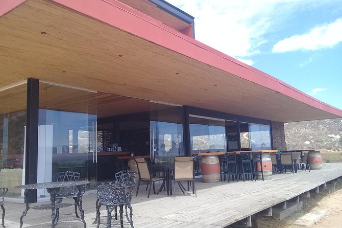 wine tours and driver service through valle de guadalupe, Ensenada B.C. Mexico - A driver, not a fixed bus tour
