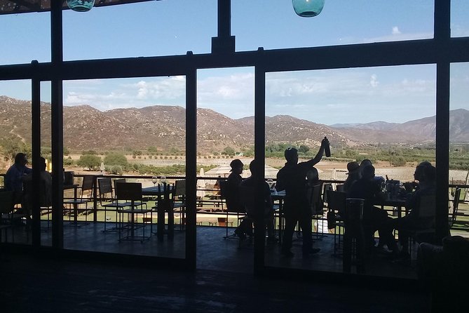 wine tours and driver service through valle de guadalupe, Ensenada B.C. Mexico - Keeping a cruise day on track