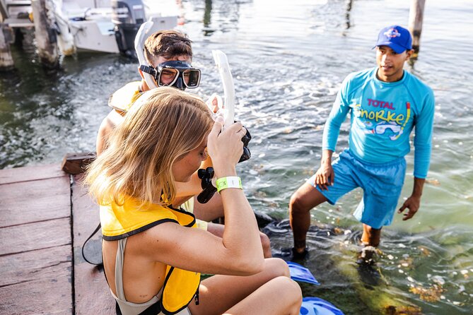 With Turtles, Shipwreck, Cenote, and Reef and Transport Included - The first reef is a gentle start