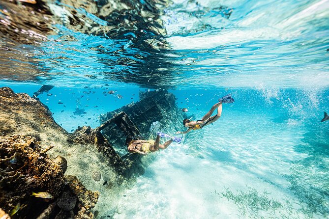 With Turtles, Shipwreck, Cenote, and Reef and Transport Included - Why the small boat makes a difference