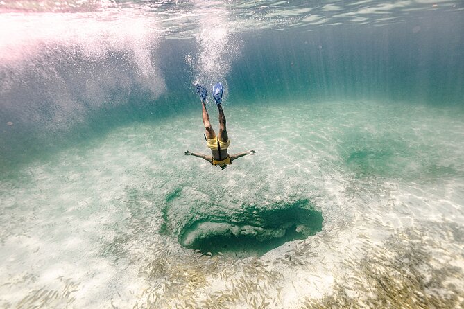 With Turtles, Shipwreck, Cenote, and Reef and Transport Included - Timing, clothing, and what to bring