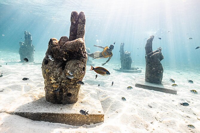With Turtles, Shipwreck, Cenote, and Reef and Transport Included - Who will enjoy it most