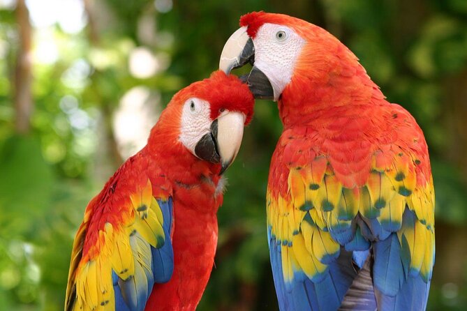 Xcaret Park Day Trip, transportation and Cultural Night Show - What your $167.99 Xcaret day actually includes