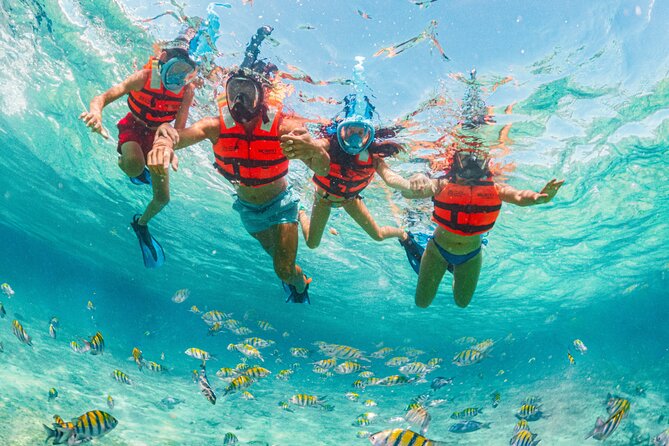 Xcaret Park Day Trip, transportation and Cultural Night Show - Mayan sites and Mexican culture between the water stops