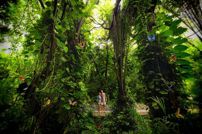Xcaret Park Day Trip, transportation and Cultural Night Show - Extra activities: which ones need extra thought