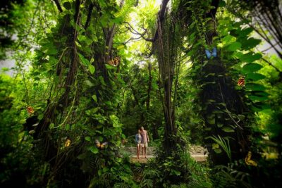 Xcaret Park Entry Tickets with Cultural Night Show Included