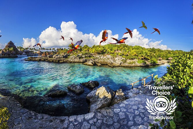 Xcaret Park Entry Tickets with Cultural Night Show Included - Choosing basic admission, Xcaret Plus, or night entry