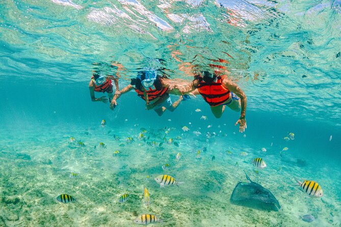Xcaret Park Entry Tickets with Cultural Night Show Included - Who will enjoy Xcaret most?