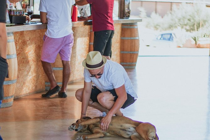 Xecue Wine Tasting in the Guadalupe Valley - Adding Food to the Wine Stop