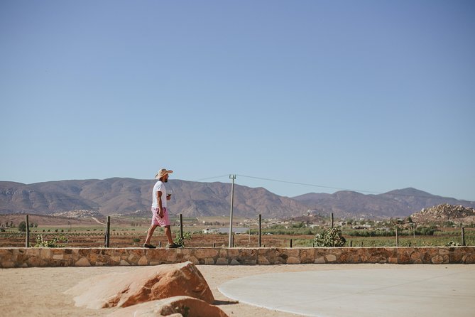 Xecue Wine Tasting in the Guadalupe Valley - How the One-Hour Schedule Works
