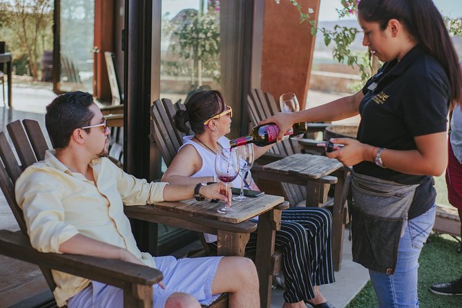 Xecue Wine Tasting in the Guadalupe Valley - Value, Group Size, and Who Will Enjoy It
