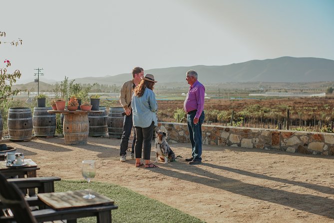 Xecue Wine Tasting in the Guadalupe Valley - Booking Details and Cancellation Rules