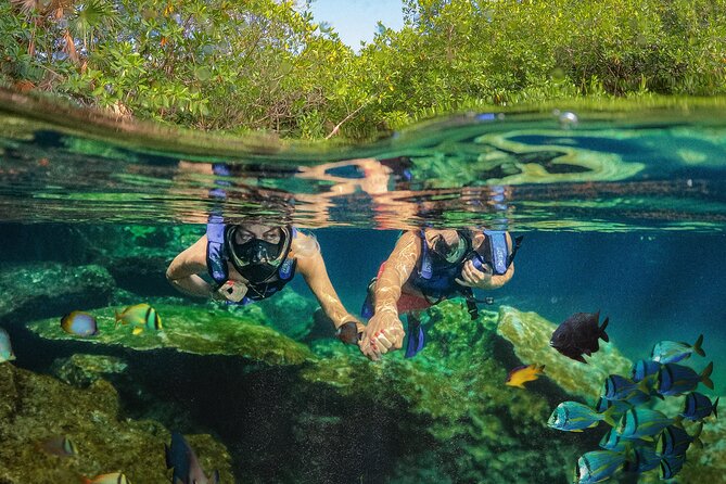 Xel-Ha Park Admission Tickets - What Xel-Ha feels like as a day out