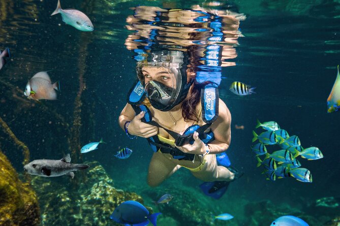 Xel-Ha Tickets with Transportation included - What Xel-Há is really like
