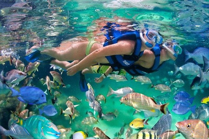 Xikbal Eco Park All Inclusive - A morning pickup from Cancun