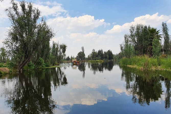 Xochimilco Barco Fiesta Tentacion 18+ with Open Bar and Tacos - Is $59 a fair price?
