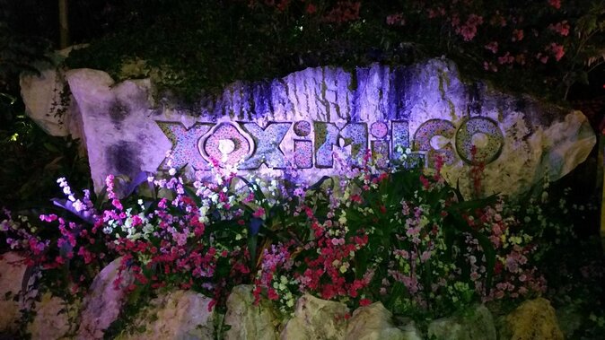Xoximilco Ticket: Boat Fiesta, Traditional Tasting & Tequila Bar - Boarding a state-themed trajinera