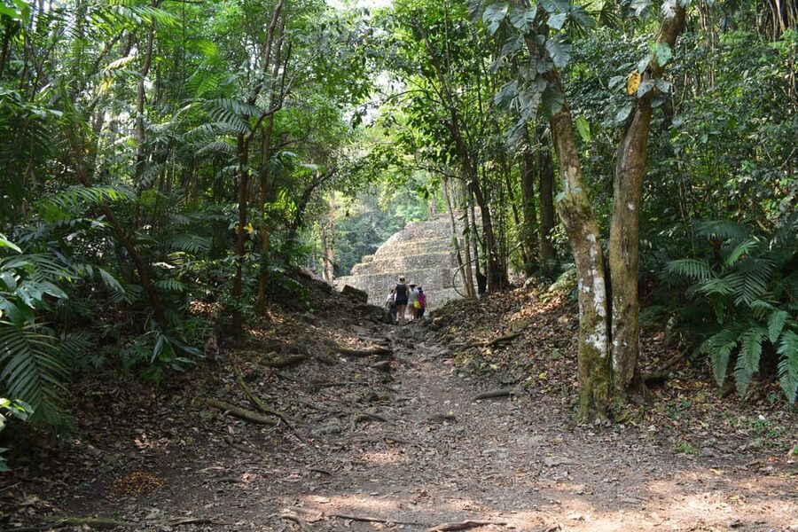 Yaxchilan & Bonampak Ruins and Lacandon Jungle from Palenque - The return trip to Palenque