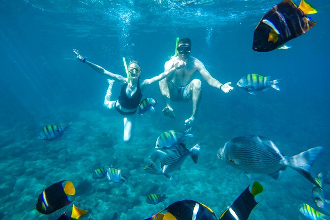Yelapa Waterfall, BBQ at Exclusive Majahuitas Beach & Open bar - Who should book this Puerto Vallarta day trip?