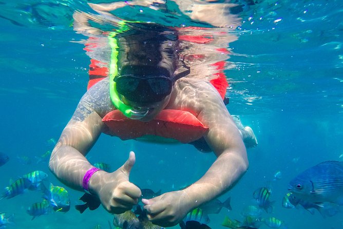 Yelapa Waterfall, BBQ at Exclusive Majahuitas Beach & Open bar - Should you book the Yelapa and Majahuitas tour?