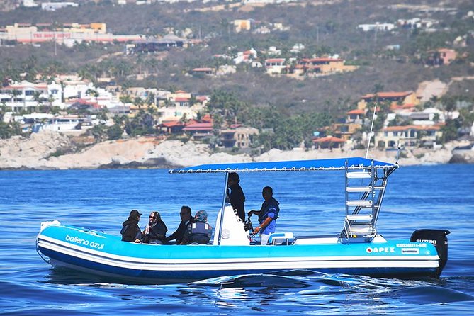 ZODIAC Whale Watch Tour | Cabo San Lucas | Biologist | FREE Pics - The hydrophone and the sound of humpbacks